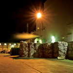 Studies – Portlands