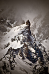 Storm and Crag