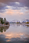 Oxbow Bend