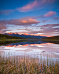 Rosy-Fingered Dawn