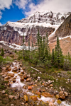 Mt Edith Cavell Stream