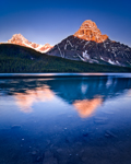 Cold Dawn at Mt Cephren